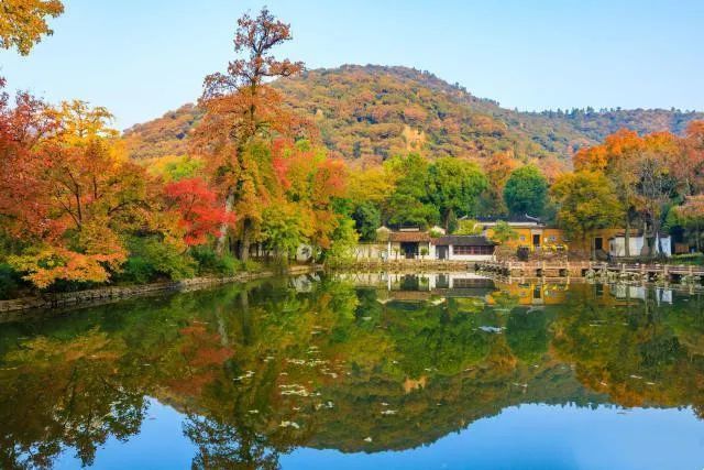 天平山上白云泉一四五码双头发是什么生肖全面释义、综合解答解释落实