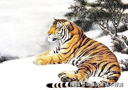 虎头蛇尾不用取白姐相送买二七猜一肖最住答案生肖全面释义、构建解答解释落实